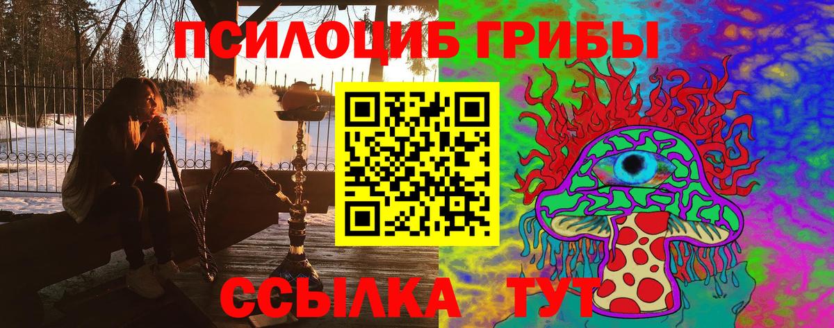Сатка  Псилоцибиновые грибы прущие грибы  где можно купить наркотик  Вход с VPN 