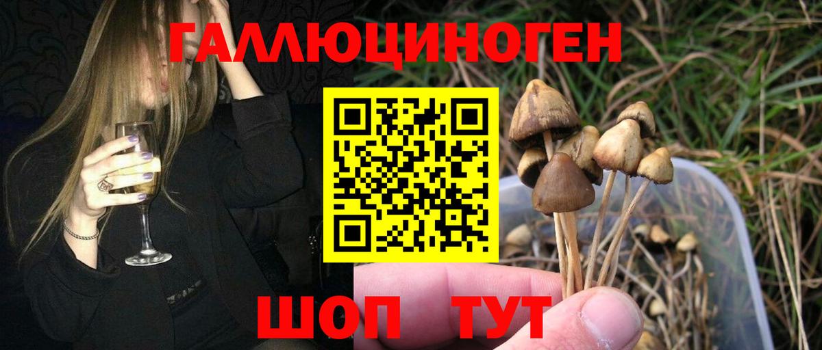 Псилоцибиновые грибы Cubensis Сатка